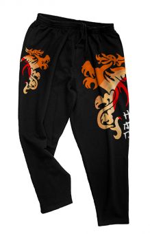 Pantolone da jogging Dragon 